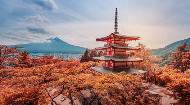 Adaptateur prise électrique Japon